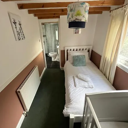 Sea View V-dubz, 파일리